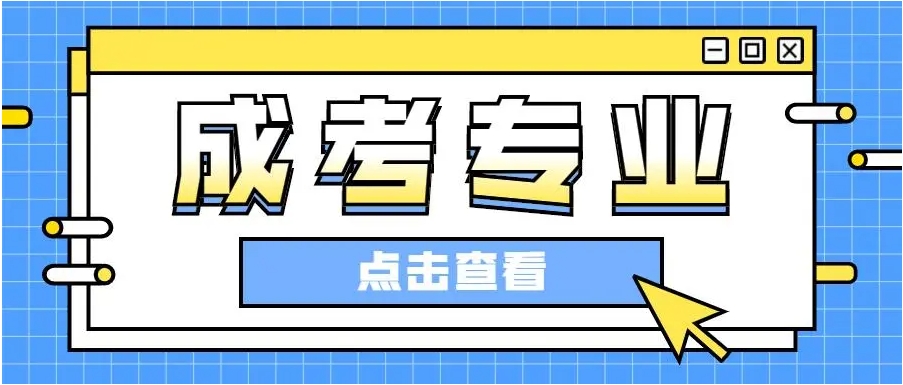 2024年上海金山新区成考新生可以选择哪些专业？