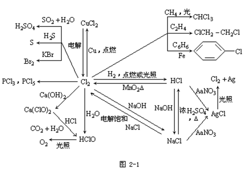 【上海市成人高考】2019年高起点化学元素及其化合(图1)